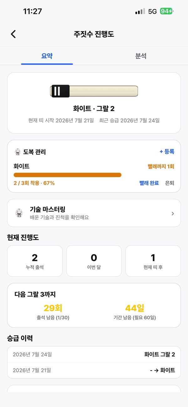 주짓수 진행도